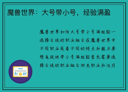 魔兽世界：大号带小号，经验满盈